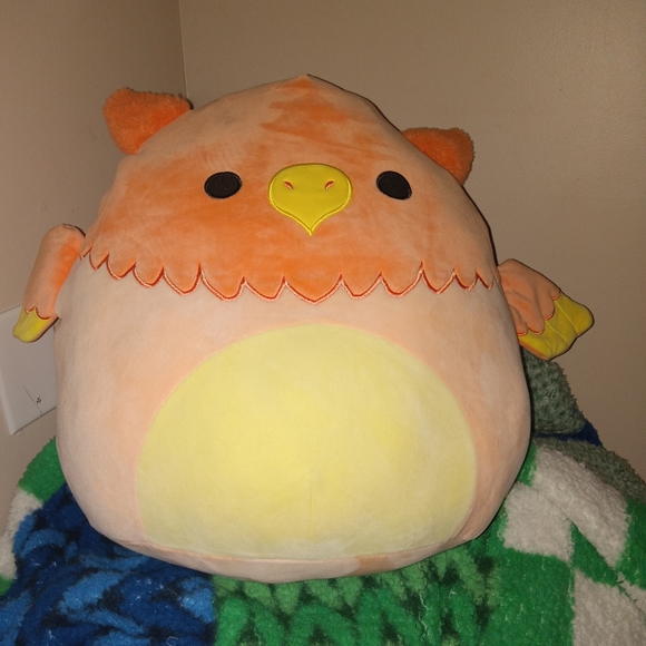 Abdul the Griffon - Picture 2 of 5